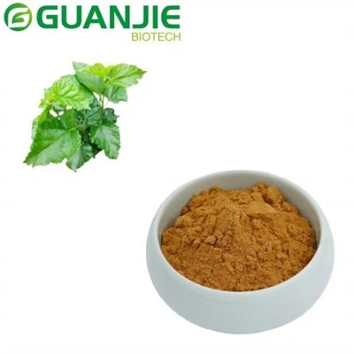 Mulberry Leaf Extract Pulver